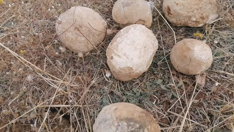 Doğada bulunan yuvarlak taşlar merak uyandırdı